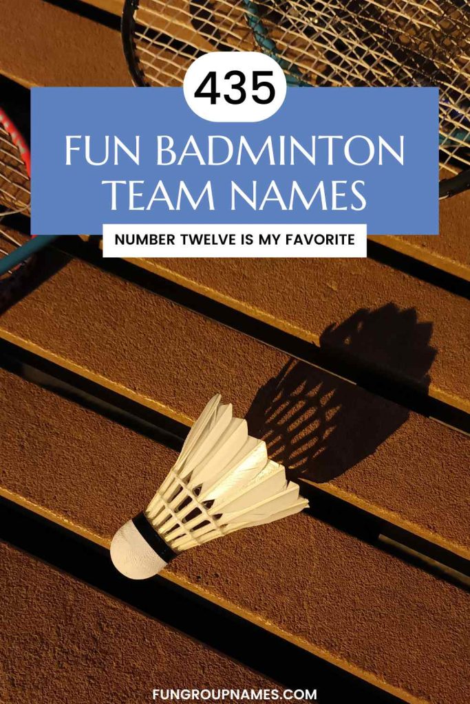 badminton team names pin