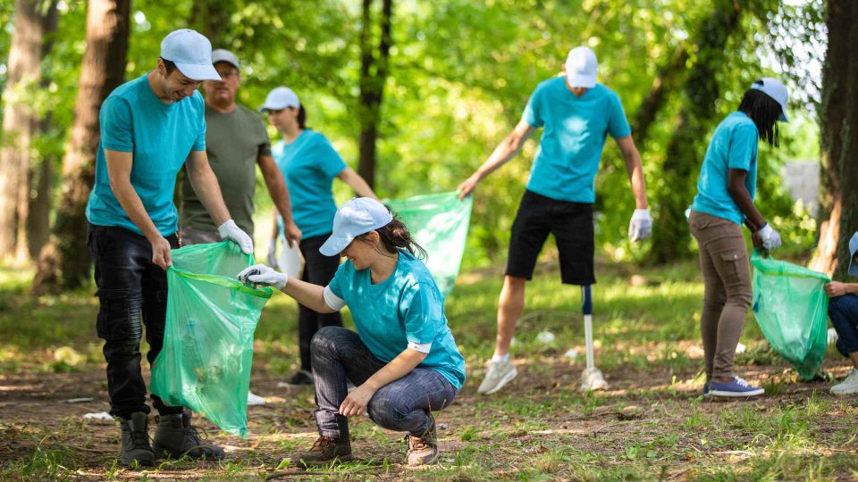 385 Creative Environmental Group Names - An Environmental Group Conducted A Study