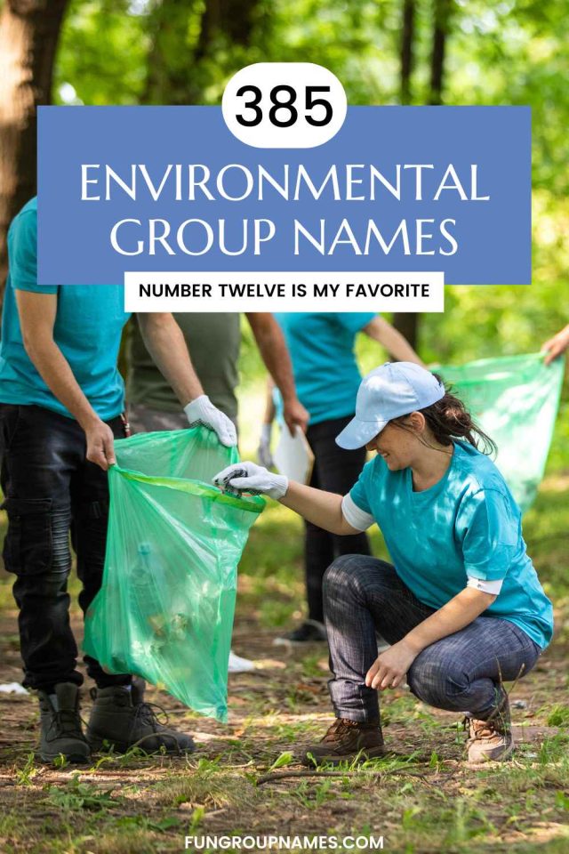 Sample Environment Group Environmental Groups Examples: Environmental Organizations – XBVYA