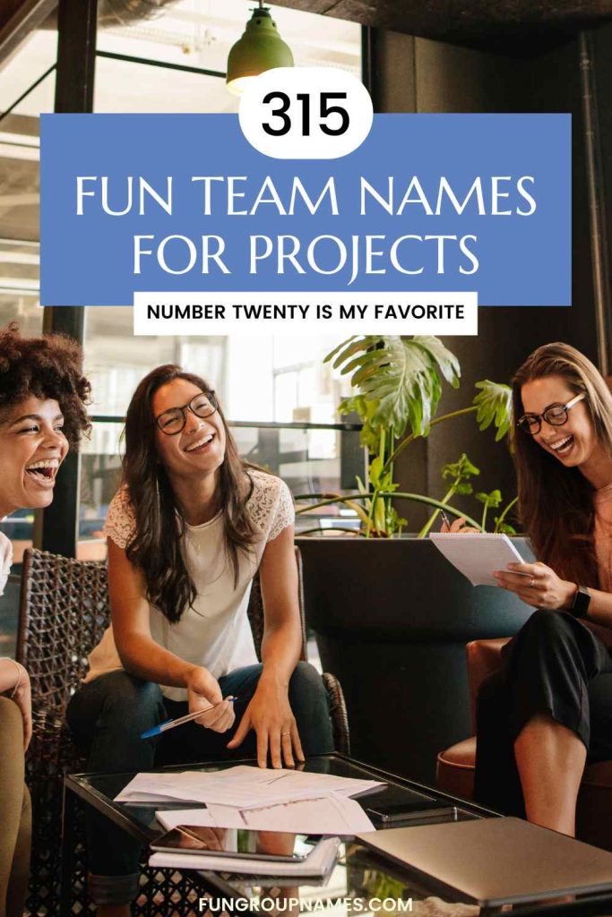 fun team names for projects pin