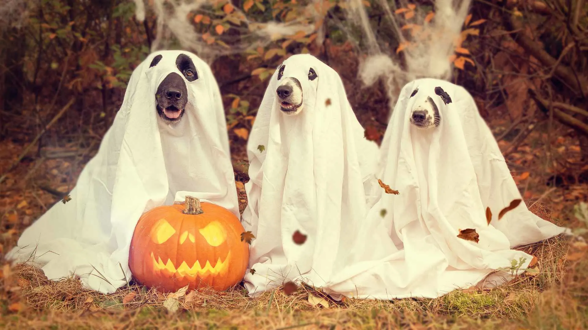 Group celebrating Halloween together