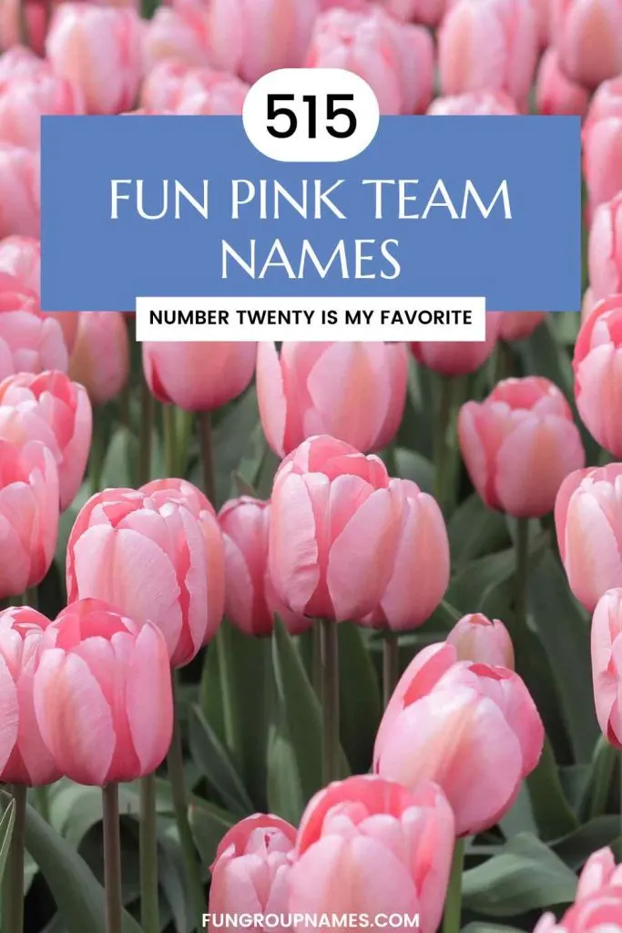 pink team names pin