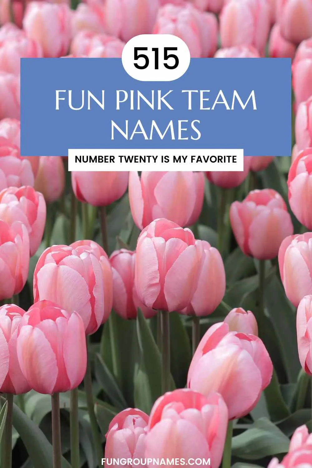 Pink team names