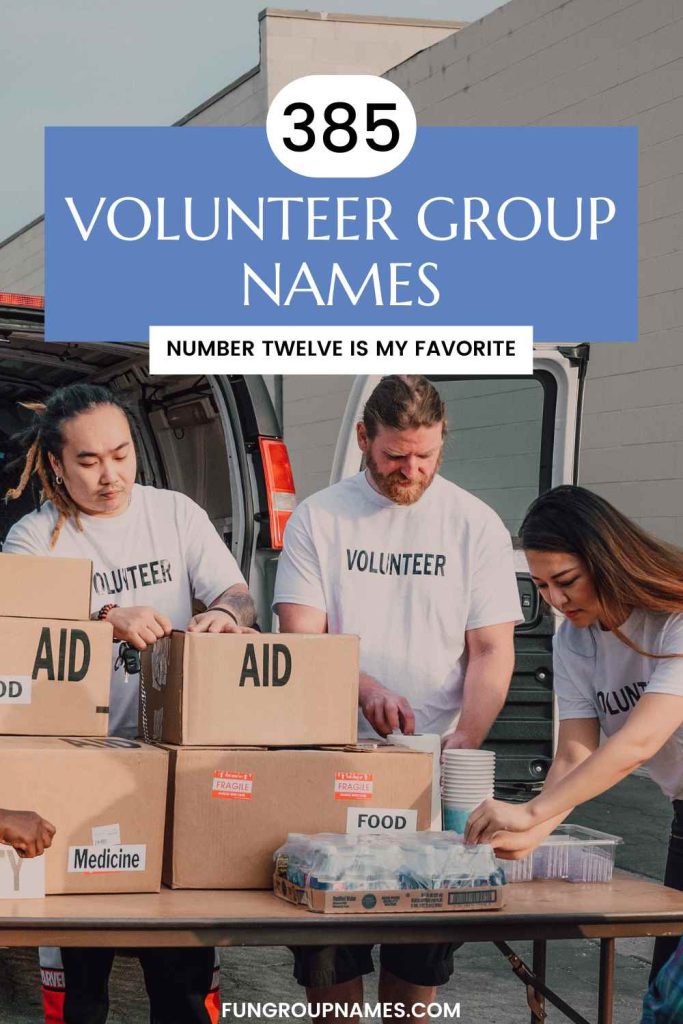 volunteer group names pin