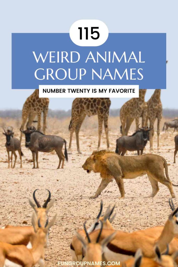 weird animal group names pin