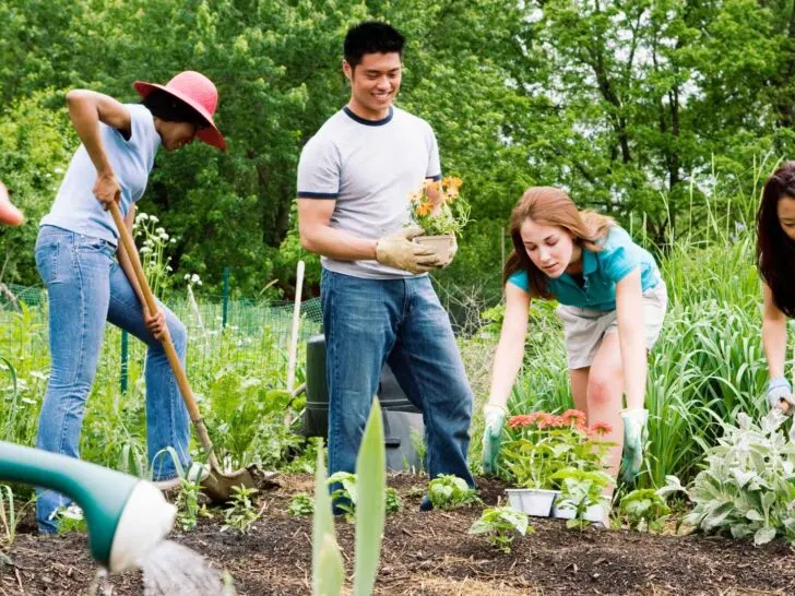 group names for gardeners