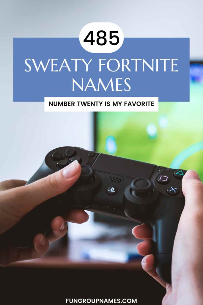 sweaty Fortnite names pin