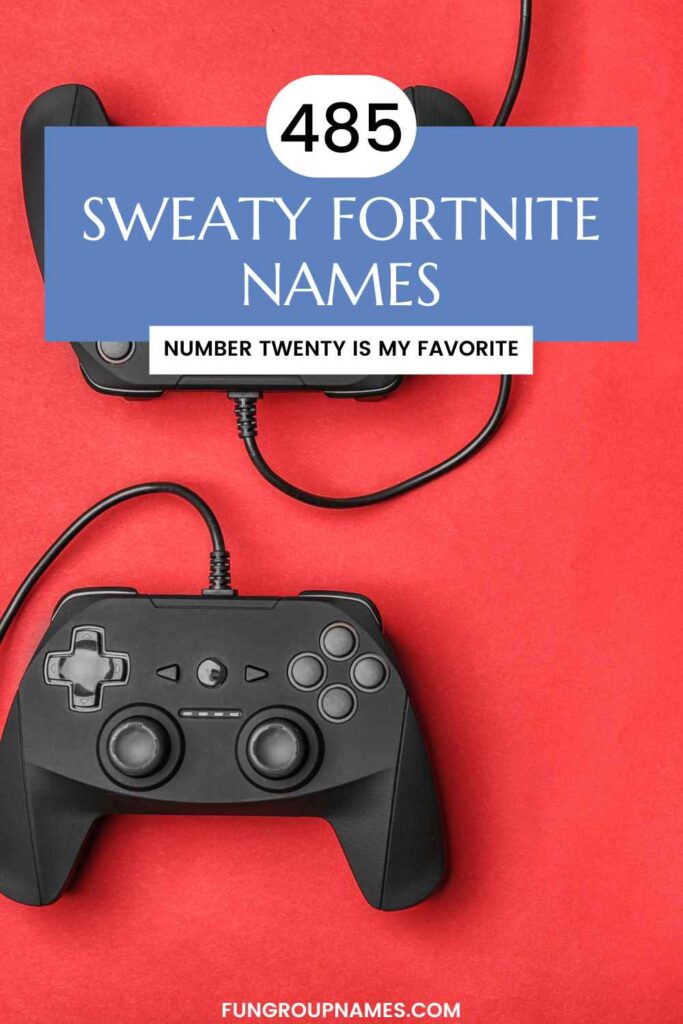 sweaty Fortnite names pin