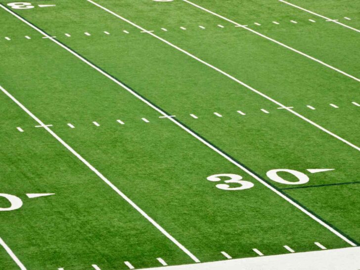 360 Jahmyr Gibbs Fantasy Names For The 2025-26 Season!