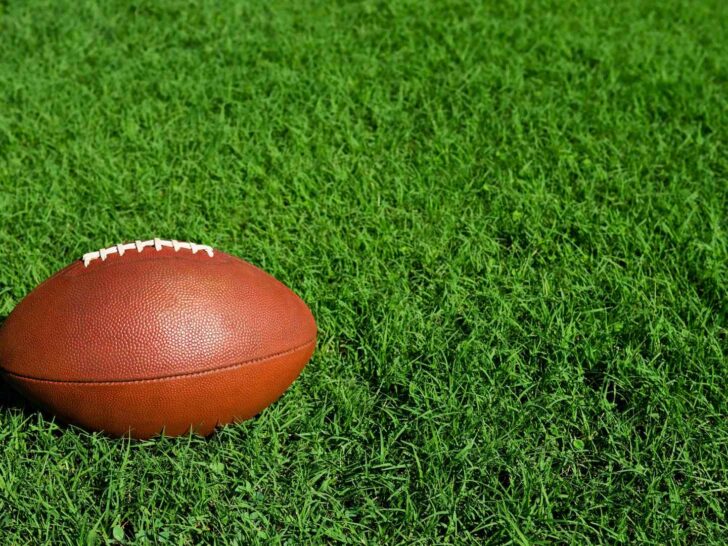 380 Malik Nabers Fantasy Names For The 2025-26 Season!