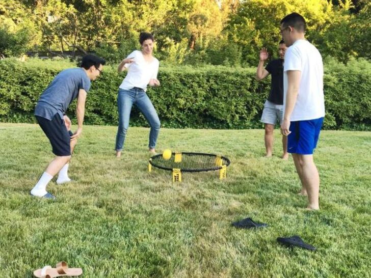 Spikeball net and ball